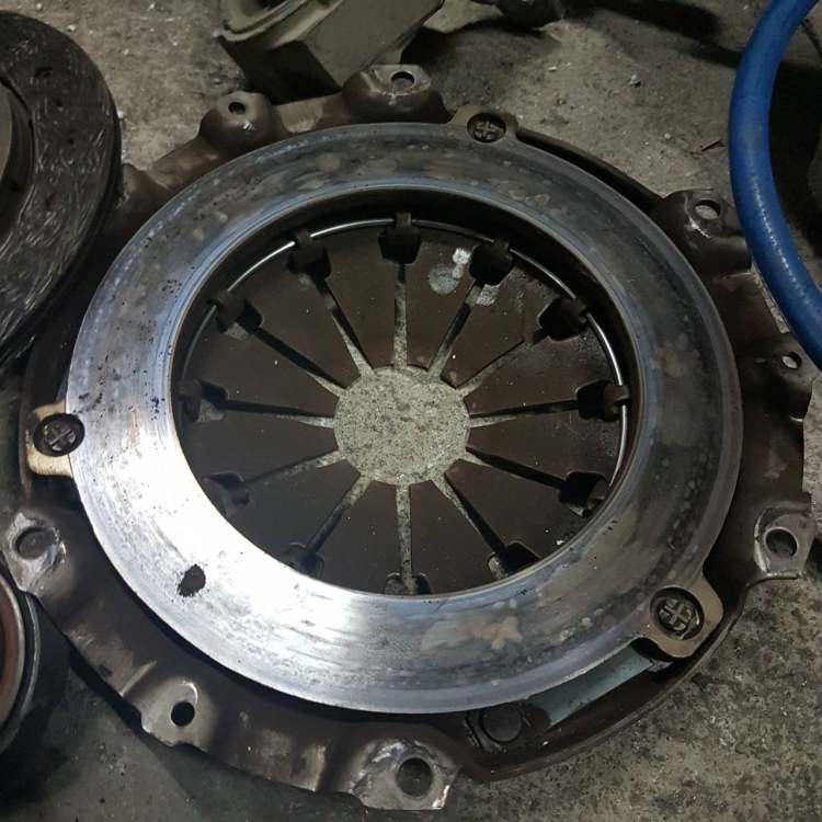 Stara korpa kvačila.jpg