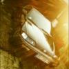 Baneanimal CRX
